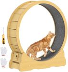 Advwin Cat Exercise Wheel, Large Ca