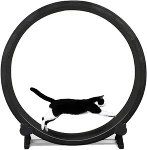 FM Feline 