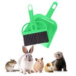 2 Brothers Wholesale Mini Broom and Dustpan Cleaner for Rabbit, Chinchilla, Hedgehog, and Hamster Used for Animal Litter (Green)