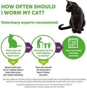 Drontal Wormer Tablets for Small & Medium Cats – Broad Spectrum