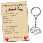 Perfect Message Ltd Gift for Friends Friendship Inspirational Keyring Infinity Heart Keyring School Leavers Gift