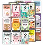 exciting Lives - Baby Milestone Cards: Gift for New Parents, Baby Showers, Newborns Babies Gift for Birthday, Baby Birth - Set of 27 (0-6 Months Cards)