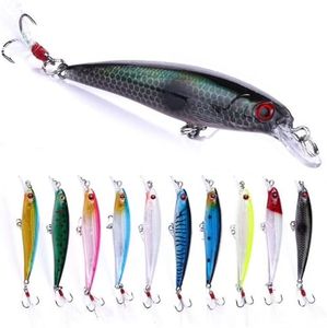 Lumista Jerkbait Fishing Lures,Jerkbaits for Bass Fishing,Minnow Lures Jerk Bait for Freshwater/Saltwater Fishing Lures for Trout Pike,10pcs with Box