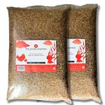 Natural Dried Mealworms for Birds and Chickens, All Seasons for Wild Birds and Hens - Ma Poule Express (22 Lbs)