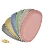 6 Pack 11 inch Wheat Straw Dinner Plates - Dishwasher & Microwave Safe Lunch Plates Reusable Eco-friendly BPA Free Lightweight Degradable Unbreakable Dirt-resistant Easy Clean