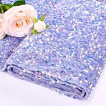 Lavender Sequin Velvet Fabric 2 Yards by The Yard Sparkle Sequin Upholstery Decorative Fabric Stretch Velvet Sequin Cloth for Outdoor Mermaid Quilting Fabric Bridal Clothes Gowns