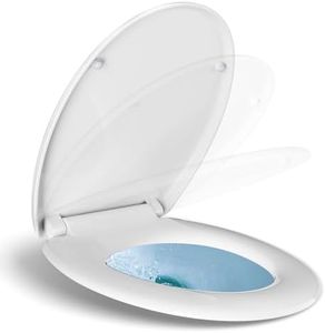Toilet Sea