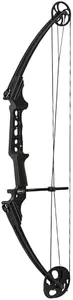 Genesis Gen-X Lightweight Compound Bow for Archery and Hunting, Draw Hand - Right, Black