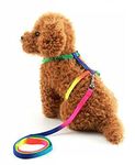 Pets Empire Harness Soft with Pet Cat Clip Puppy Walking Leash Adjustable Nylon Kitten Lead