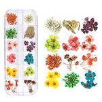 12 Colors Dried Flowers for Nail Art, KINGMAS 1 Box Dry Flowers Mini Real Natural Flowers Nail Art Supplies 3D Applique Nail Decoration Sticker Decor (C)