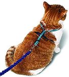 PetSafe Come with Me Kitty Glitter Harness and Bungee Cat Leash, Large