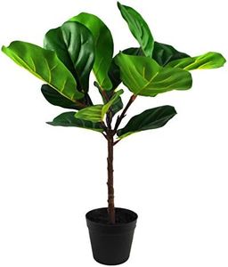 Leaf Desig