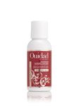 Ouidad Advanced Climate Control Heat and Humidity Gel Extra Hold 2.5 Oz, 74 Milliliters