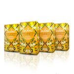 Pukka Lemon Ginger & Manuka Honey Organic Herbal Tea, 20 Count (Pack of 4), Licorice Root & Elderflower Bliss