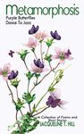 Metamorphosis: Purple Butterflies Dance To Jazz