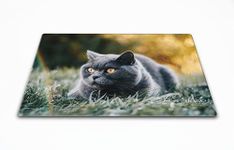 Hippowarehouse Personalised Photo Chopping Board Toughened Glass Cutting Kitchen Accessory Photograph Gift Customised Wedding Present Mothers Day Gift Fathers Day Keepsake New Home