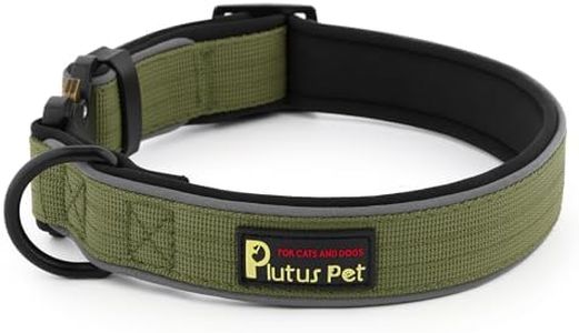 Plutus Pet