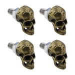 YINETTECH 4pcs Stainless Steel License Plate Bolts Replacement Kit M6 License Plate Frame Screw Fastener for Cars Motorcycles Trucks Plate, Skull-Bronze