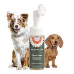 Dandylion Clean Paws | Dog Paw Cleaner & Washer for Muddy Paws | No-Rinse Foaming Cleanser with Soft Bristle Scrubber | Gentle, Fragrance-Free, pH Balanced & Safe for Small & Large Dogs | 5fl oz