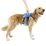 Walkin’ Buddy Up Front Harness, Front Legs Support for Dogs