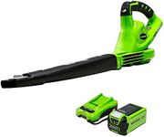 Greenworks 40V Leaf Blower/Sweeper,