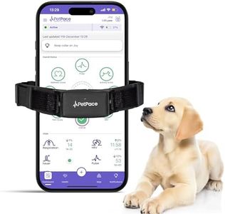 AI Health Monitor & GPS Tracker for Dogs | Track Heart Rate, Pain, Anxiety & Stress | Vet Backed, Near Real-Time Alerts & Monitoring | Subscription Required | PetPace Smart Collar 2.0 (Small)