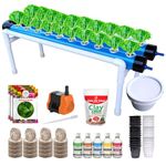 Casa De Amor Hydroponics Kit for Home & Office, 20 Plant NFT System, Seed to Harvest Complete Solution (20 Plants, Sky Blue)