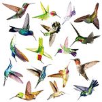 17Pcs Hummingbird Wall Art Stickers, Watercolor Flying Bird Wall Decal for Door Window, Peel and Stick Wall Decor Mural for Bedroom, Living Room, Kids Playroom