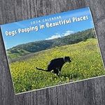 Dogs Pooping In Beautiful Places 20