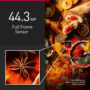 Panasonic LUMIX S1RII Mirrorless Camera – Full Frame Digital