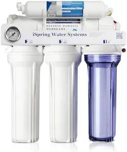 iSpring RC