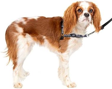 Petsafe De
