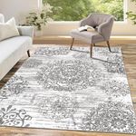 HEBE Washable Area Rug 4'x6' Non Slip Soft Distressed Medallion Bedroom Rug Boho Living Room Rug Accent Throw Rugs Vintage Entry Rug Floor Carpet for Dining Room Bathroom Entryway