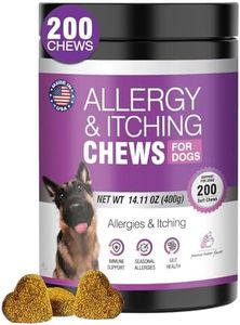 Dog Allerg