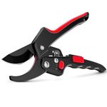SIGNY Professional Sharp Pruners Garden Pruners Tree Trimmers Secateurs Bypass Pruning Shears, Secateurs, Garden Shears, Gardening Shears Clippers for Plants, Gardening Cutter (FLOWER CUTTER)