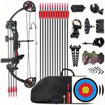 Lanneret Compound Bow and Arrow for Youth and Beginner-Archery Compound Bows 15-29 Draw Weight for Right Hand，Black Handed Bag