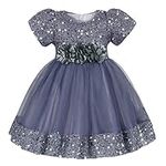 Febbabe Flower Girl Dresses Baby Girls Wedding Pageant Birthday Party Princess Dress Sequin Tulle Lace Ball Gown Grey 3-4T