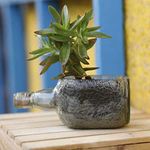 Kavi The Poetry-Art Project Recycled Rum Bottle Planter (Multicolour)