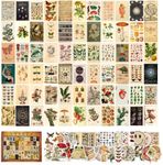 ANERZA 100 PCS Vintage Wall Collage Kit Aesthetic Pictures, Cottagecore Room Decor for Bedroom Aesthetic, Posters for Room Aesthetic, Cute Boho Photo Wall Decor for Teen Girls, Dorm Green Wall Art