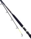 Daiwa D Wave Uptide Sea Fishing Rod 9'6' / 4-10oz - DWU410-BU