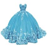 WDBFY Sparkly Sweetheart Quinceanera Dresses Ball Gowns for Sweet 15 16 Tulle 3D Flowers Lace Prom Dresses Blue 20