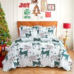 EHEYCIGA Christmas Quilts King Size with Christmas Green Reindeer Printed Pattern, 3 Piece Reversible Christmas King Size Quilt Bedding Set, Lightweight Bedspread Bed Decor Coverlet Set for All Season