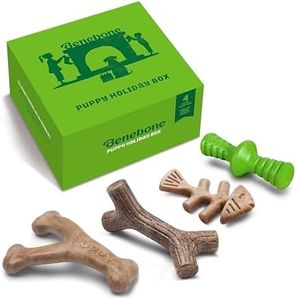 Benebone P