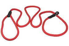 Dogs My Love Nylon Rope Slip Dog Lead Adjustable Collar and Leash 6ft Long (Small: 1/4" (6mm), Red)