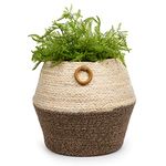 Truu Design Beautiful Woven Natural Jute Rope Planter Basket with Handles, 9.8 x 12.2 inches, Neutral