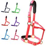 T TEKE Adjustable Horse Halter by Heavy Duty Soft Nylon, Padded with Anti-rubbing Waffle Neoprene on Both Crown & Nose