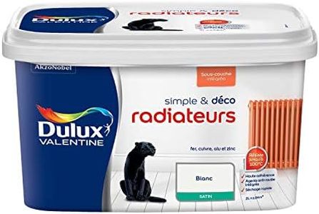 Peinture Radiateurs Blanc
