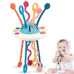 Baby Einstein 12 Month Toys