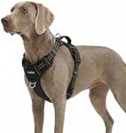 Funfox Dog Harness for Xlarge Dogs,