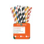 ECO SOUL [8 MM, 100 Count] Biodegradable Multicolor Paper Straws | Disposable Drinking Rainbow Eco-Friendly Compostable Paper Straws | Cocktail Cold Drink Juice Smoothie Non-Bendable Straws (Wide)